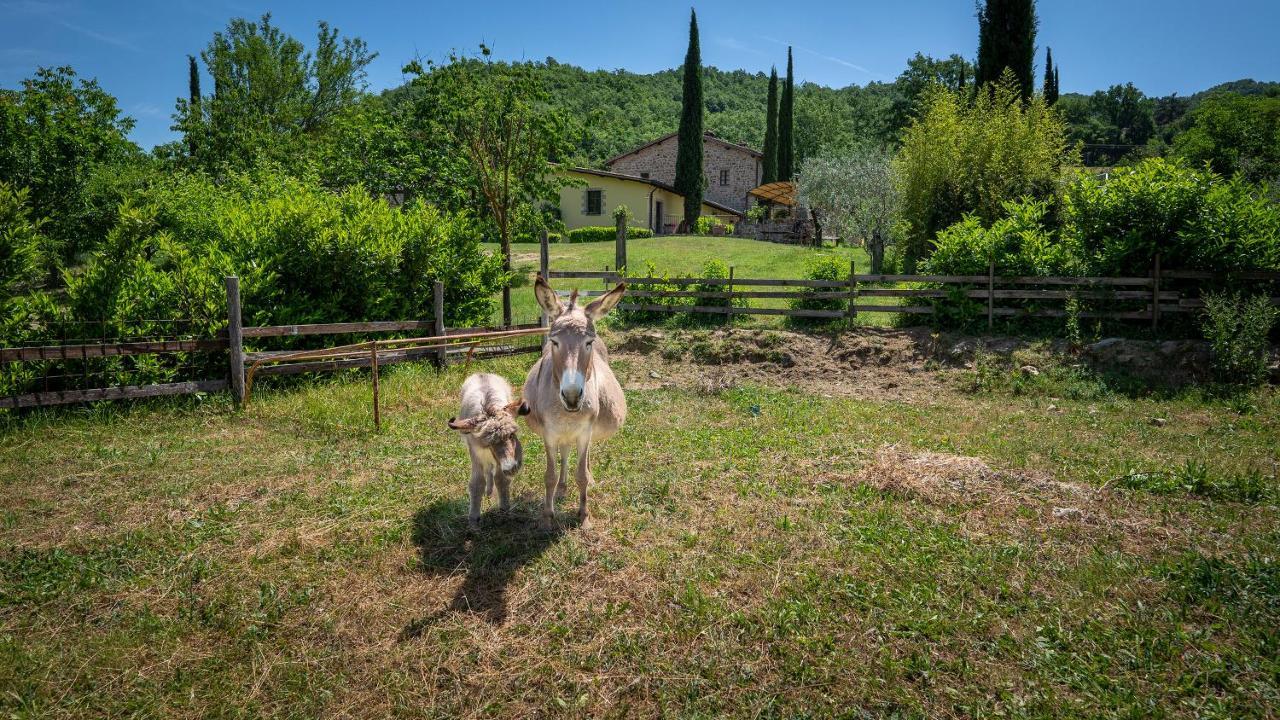 Agriturismo I Pietrini Перуджа Екстериор снимка